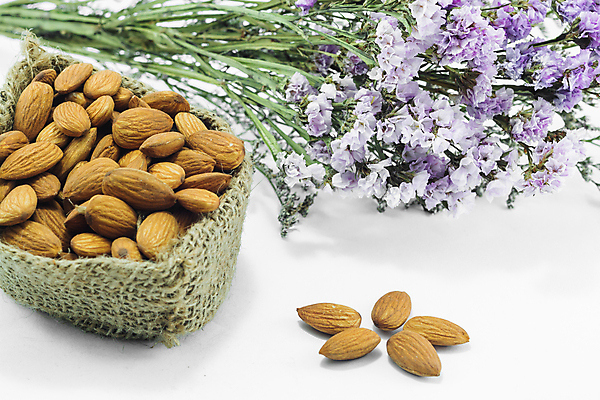 포토 JPG 해외이미지 꽃 꽃다발 실내 사람없음 가득함 흰배경 자루 아몬드 해외202004 해외202105 해외포토 식물 백그라운드 내부 견과류 흰색 파일형식