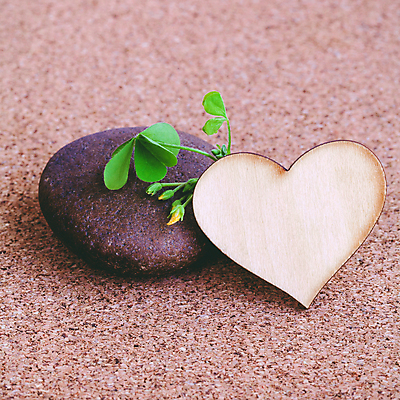 포토 JPG 해외이미지 줄기 잎 성공 3 사람없음 성장 행운 클로버 토끼풀 숲 삽 코르크 정맥 스트라이크 해외202004 해외202105 해외포토 식물 컨셉 혈관 파일형식