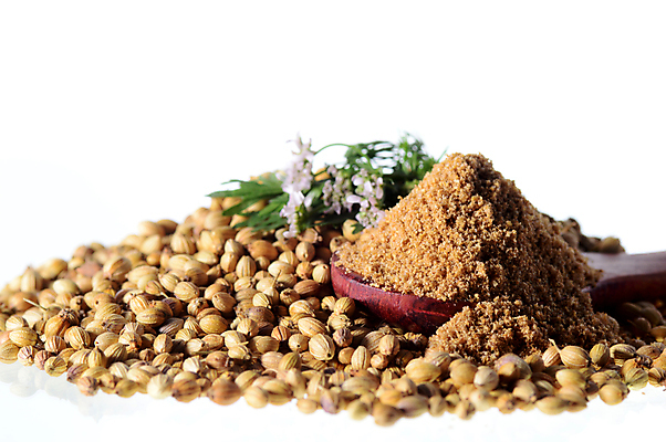 포토 JPG 해외이미지 잎 채소 사람없음 고수 가루 허브 아로마 카레 해외202004 해외202105 해외포토 식물 음식 향신료 파일형식