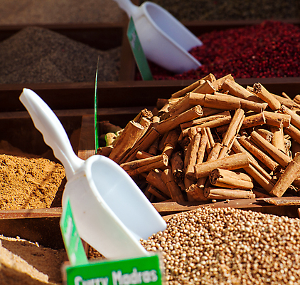 포토 JPG 해외이미지 사람없음 조미료 가루 향신료 시나몬 해외202004 해외202105 해외포토 향미료 파일형식