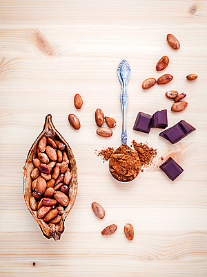 포토 JPG 해외이미지 과일 콩 사람없음 초콜릿 어둠 견과류 붓기 가루 아로마 인도네시아 브라질 코코아 남쪽 카카오 억울 해외202004 해외202105 해외포토 감정 아시아 음료 모션 디저트 곡류 남아메리카 방향 파일형식