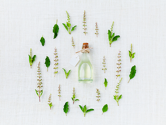 포토 JPG 해외이미지 유리병 실내 사람없음 오일 허브 피부관리 흰배경 에센스 해외202004 해외202105 해외포토 식물 음식 백그라운드 병_용기 내부 뷰티 화장품 흰색 파일형식