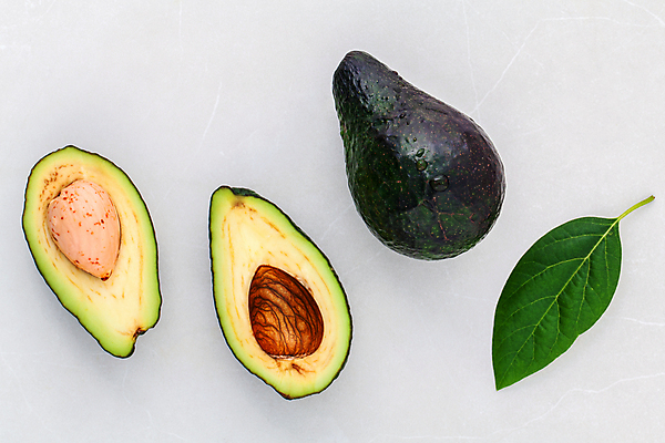 포토 JPG 해외이미지 잎 단면 실내 사람없음 흰배경 아보카도 해외202004 해외202105 해외포토 식물 백그라운드 과일 내부 흰색 파일형식