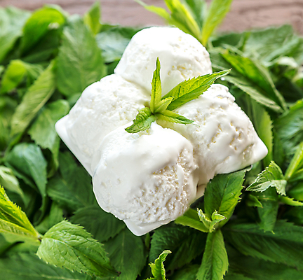 포토 JPG 해외이미지 백그라운드 부분 아이스크림 디저트 사람없음 장식 초록색 달콤 시원함 바닐라 해외202004 스피아민트 해외포토 음식 컬러 맛 민트 파일형식