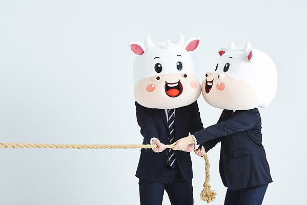 포토 JPG 스튜디오촬영 여자 남자 밧줄 40대 중년 비즈니스 회색배경 새해 실내 정장 상반신 20대 성인 두명 옆모습 한국인 소띠 비즈니스맨 비즈니스우먼 소 줄다리기 소캐릭터 동물탈 인형탈 2021년 신축년 국내포토 옷 줄 뷰포인트 동물캐릭터 백그라운드 포유류 놀이 사람 동양인 청년 내부 회색 십이지신 직장인 연도 탈 파일형식