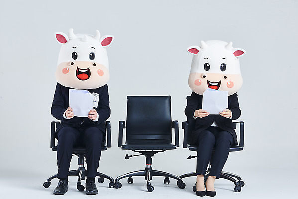 포토 JPG 스튜디오촬영 전신 여자 남자 40대 중년 의자 비즈니스 회색배경 새해 실내 들기 앉기 정장 20대 성인 두명 앞모습 한국인 소띠 비즈니스맨 비즈니스우먼 소 면접 문서 취업준비생 소캐릭터 동물탈 인형탈 2021년 신축년 국내포토 옷 뷰포인트 동물캐릭터 가구 백그라운드 포유류 모션 사람 동양인 청년 내부 회색 구직 십이지신 직장인 연도 탈 파일형식