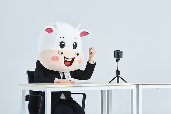 포토 JPG 스튜디오촬영 여자 40대 중년 의자 비즈니스 회색배경 새해 실내 한명 앉기 정장 상반신 옆모습 스마트폰 파이팅 한국인 소띠 비즈니스우먼 소 책상 면접 소캐릭터 동물탈 인형탈 화상통화 중년여자한명만 2021년 비대면면접 신축년 랜선라이프 국내포토 1 라이프스타일 옷 뷰포인트 동물캐릭터 가구 백그라운드 포유류 모션 사람 동양인 성인 내부 핸드폰 스마트기기 회색 십이지신 직장인 연도 탈 통화 여자한명만 중년여자만 파일형식 언택트