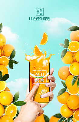 PSD 편집이미지 손 잎 오렌지 과일 들기 타이포그라피 신체부위 농작물 스마트폰 터치 주문 산지직송 이미지편집 식물 문자 농업 모션 사람 핸드폰 스마트기기 파일형식 직송
