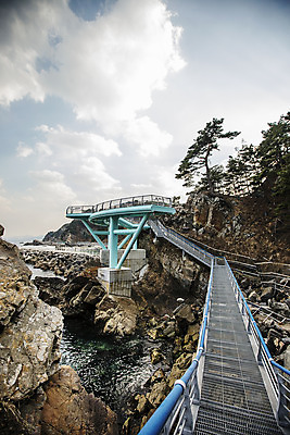 포토 JPG 주간 나무 하늘 사람없음 야외 바위 강원도 동해 강릉 국내여행 바닷길 국내포토 자연요소 식물 길 바다 여행 한국 돌_바위 파일형식