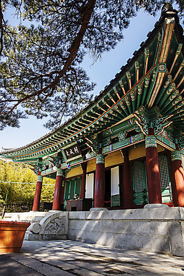 포토 JPG 주간 고건축 한옥 사람없음 야외 강원도 강릉 국내여행 지붕처마 선교장 국내포토 자연요소 한국전통 건축물 여행 지붕 한국 처마 파일형식