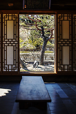 포토 JPG 주간 나무 한옥 실내 사람없음 강원도 강릉 창호문 국내여행 선교장 국내포토 자연요소 식물 한국전통 여행 고건축 한국 내부 문 파일형식