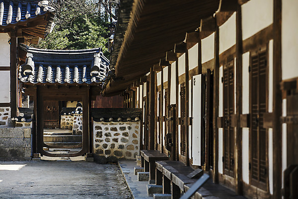 포토 JPG 주간 한옥 사람없음 야외 대문 강원도 강릉 국내여행 기와담장 선교장 국내포토 자연요소 한국전통 여행 고건축 한국 기와 담장 문 파일형식