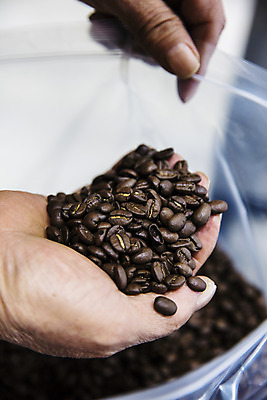 포토 JPG 손 커피 들기 신체부위 원두 강원도 강릉 원두봉투 국내포토 음료 모션 봉투 한국 사람 파일형식