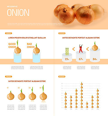 채소 일러스트 고추 양파 그래프 유리병 사람없음 주황색 인포그래픽 아스파라거스 성장과정 국내일러스트 AI파일 컬러 병_용기 과정 파일형식 벡터