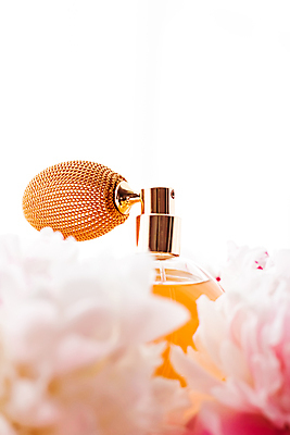 포토 JPG 해외이미지 근접촬영 사람없음 소프트포커스 향수 작약 향수병 해외포토 꽃 뷰포인트 촬영기법 화장품 병_담는 파일형식