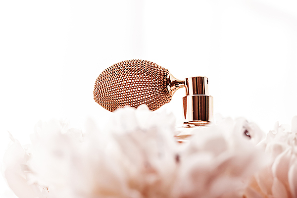 포토 JPG 해외이미지 사람없음 화장품 소프트포커스 작약 향수병 해외포토 꽃 촬영기법 뷰티 향수 병_담는 파일형식