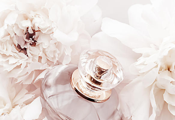 포토 JPG 해외이미지 근접촬영 사람없음 화장품 향수 작약 향수병 해외포토 꽃 뷰포인트 뷰티 병_담는 파일형식