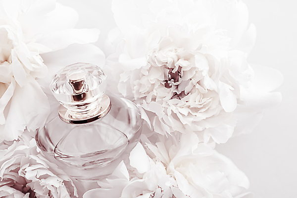 포토 JPG 해외이미지 사람없음 화장품 작약 향수병 해외포토 꽃 뷰티 향수 병_담는 파일형식