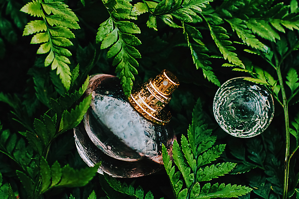 포토 JPG 해외이미지 잎 사람없음 화장품 젖음 향수병 해외포토 식물 뷰티 향수 병_담는 파일형식