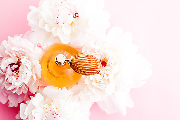 포토 JPG 해외이미지 사람없음 화장품 향수 작약 향수병 해외포토 꽃 뷰티 병_담는 파일형식