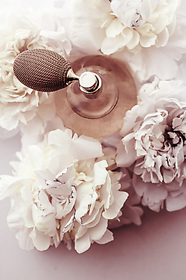 포토 JPG 해외이미지 꽃 사람없음 하이앵글 화장품 향수 작약 향수병 해외포토 식물 뷰포인트 뷰티 병_담는 파일형식