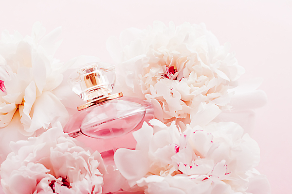 포토 JPG 해외이미지 꽃 사람없음 화장품 향수 작약 향수병 해외포토 식물 뷰티 병_담는 파일형식