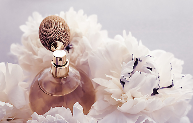 포토 JPG 해외이미지 꽃 사람없음 화장품 향수 작약 향수병 해외포토 식물 뷰티 병_담는 파일형식