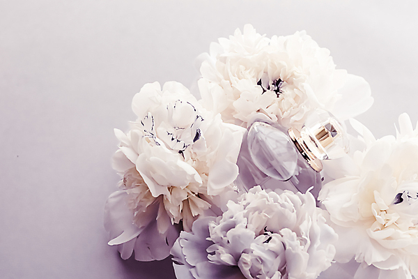 포토 JPG 해외이미지 사람없음 화장품 향수 작약 향수병 해외포토 꽃 뷰티 병_담는 파일형식