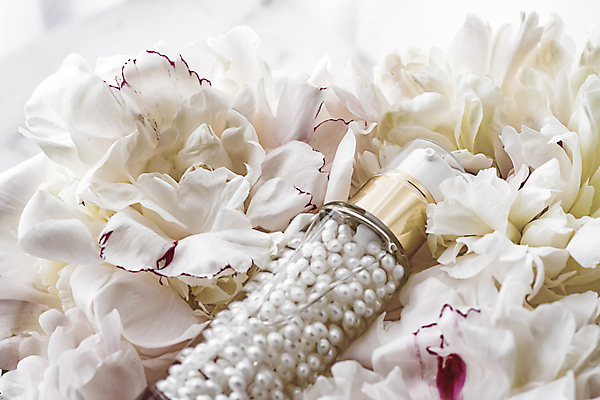 포토 JPG 해외이미지 꽃 사람없음 화장품 에센스 해외포토 식물 뷰티 파일형식