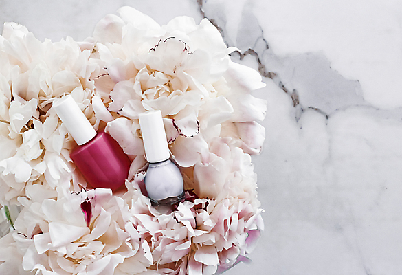 포토 JPG 해외이미지 꽃 사람없음 화장품 매니큐어 대리석 해외포토 식물 재료 뷰티 파일형식