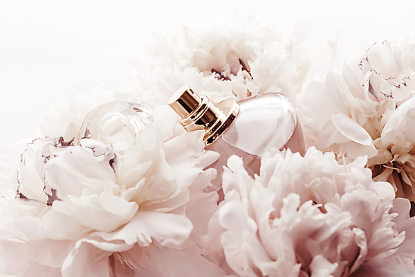 포토 JPG 해외이미지 사람없음 화장품 향수 작약 향수병 해외포토 꽃 뷰티 병_담는 파일형식