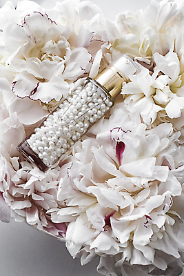 포토 JPG 해외이미지 꽃 사람없음 화장품 에센스 해외포토 식물 뷰티 파일형식