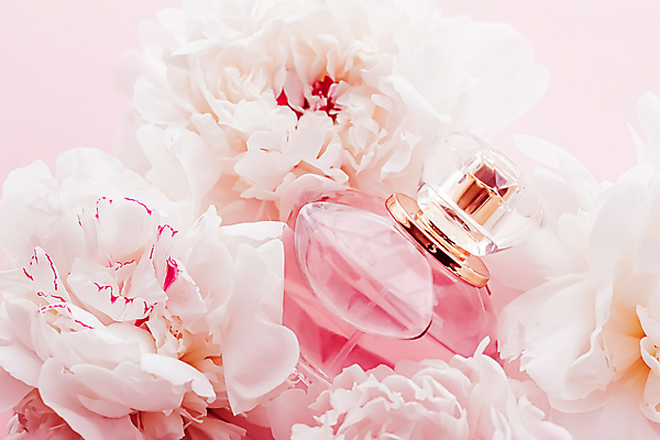 포토 JPG 해외이미지 사람없음 화장품 향수 작약 향수병 해외포토 꽃 뷰티 병_담는 파일형식