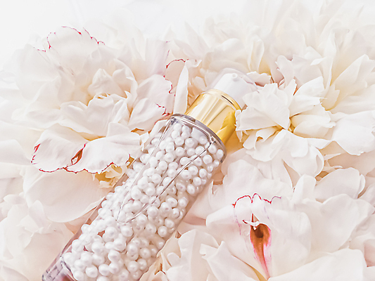 포토 JPG 해외이미지 꽃 사람없음 화장품 에센스 해외포토 식물 뷰티 파일형식