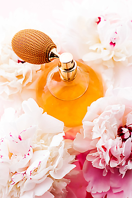 포토 JPG 해외이미지 사람없음 화장품 향수 작약 향수병 해외포토 꽃 뷰티 병_담는 파일형식