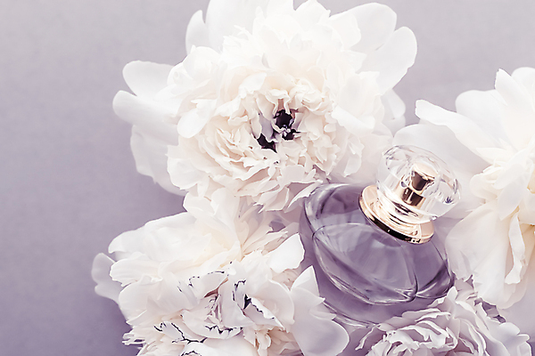 포토 JPG 해외이미지 사람없음 화장품 향수 작약 향수병 해외포토 꽃 뷰티 병_담는 파일형식