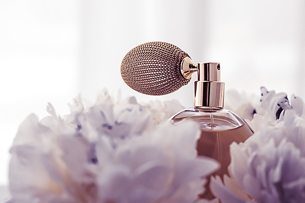 포토 JPG 해외이미지 꽃 사람없음 화장품 작약 향수병 해외포토 식물 뷰티 향수 병_담는 파일형식