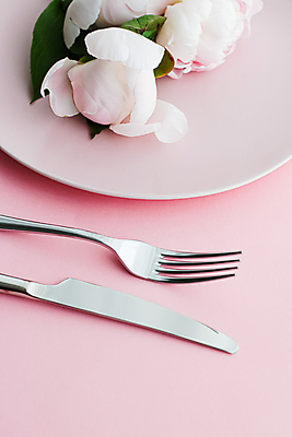 포토 JPG 해외이미지 식기 접시 꽃 포크 사람없음 낭만 나이프 분홍색배경 해외포토 식물 분홍색 백그라운드 컨셉 칼 파일형식