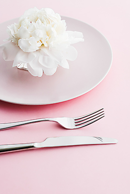 포토 JPG 해외이미지 식기 접시 꽃 포크 사람없음 낭만 나이프 분홍색배경 해외포토 식물 분홍색 백그라운드 컨셉 칼 파일형식
