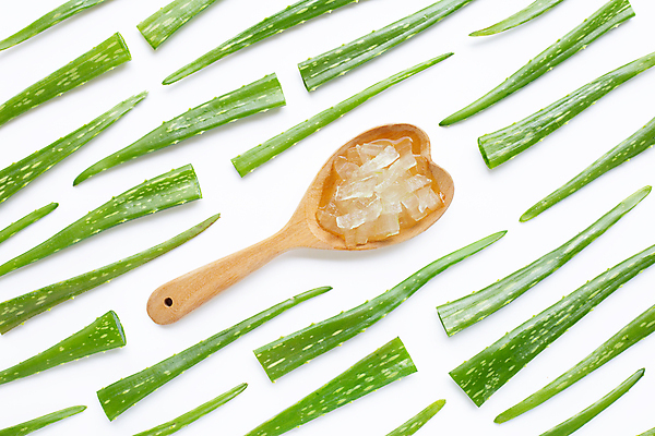 포토 JPG 해외이미지 사람없음 하이앵글 흰배경 나무숟가락 알로에 해외포토 식물 뷰포인트 백그라운드 숟가락 흰색 파일형식