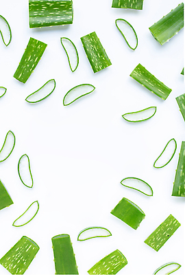 포토 JPG 해외이미지 사람없음 화장품 흰배경 알로에 해외포토 식물 백그라운드 뷰티 흰색 파일형식