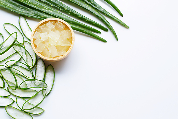 포토 JPG 해외이미지 사람없음 하이앵글 흰배경 알로에 해외포토 식물 뷰포인트 백그라운드 흰색 파일형식