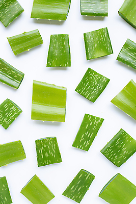 포토 JPG 해외이미지 사람없음 흰배경 알로에 해외포토 식물 백그라운드 흰색 파일형식