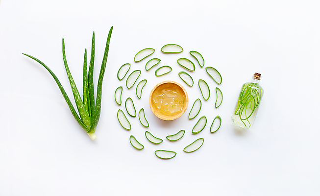 포토 JPG 해외이미지 사람없음 하이앵글 흰배경 알로에 해외포토 식물 뷰포인트 백그라운드 흰색 파일형식