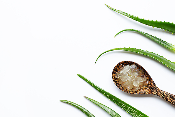 포토 JPG 해외이미지 사람없음 하이앵글 흰배경 나무숟가락 알로에 플랫레이 해외포토 식물 뷰포인트 백그라운드 숟가락 흰색 플랫 파일형식