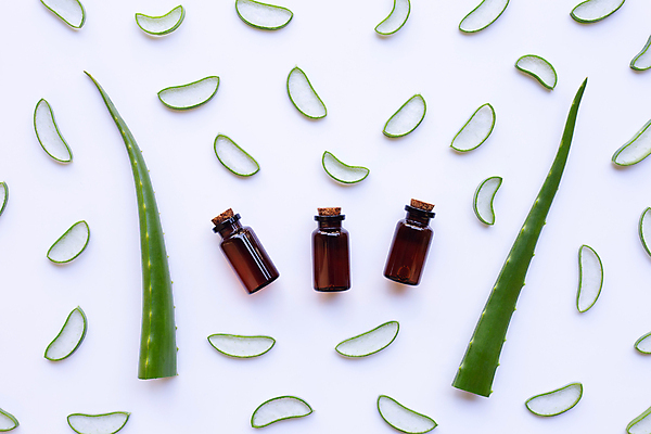 포토 JPG 해외이미지 사람없음 하이앵글 화장품 흰배경 알로에 해외포토 식물 뷰포인트 백그라운드 뷰티 흰색 파일형식