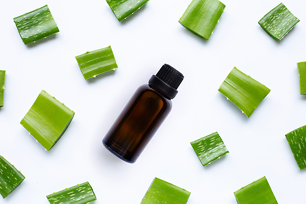 포토 JPG 해외이미지 사람없음 하이앵글 화장품 흰배경 알로에 해외포토 식물 뷰포인트 백그라운드 뷰티 흰색 파일형식