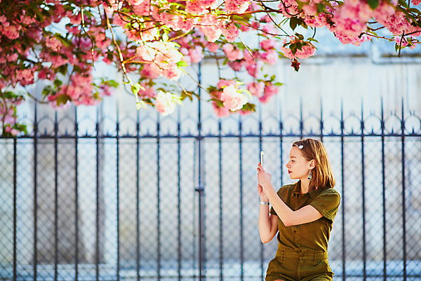 포토 JPG 해외이미지 주간 외국인 백인 공원 여자 한명 들기 상반신 성인 야외 옆모습 스마트폰 사진촬영 봄 벚꽃 성인여자한명만 파리(프랑스) 해외포토 자연요소 서양인 1 계절 공공시설 꽃 뷰포인트 모션 사람 인종 핸드폰 스마트기기 촬영 여자한명만 성인여자만 파일형식