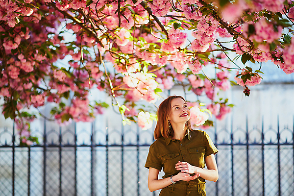 포토 JPG 해외이미지 주간 외국인 나무 백인 공원 여자 한명 상반신 성인 야외 앞모습 봄 올려보기 벚꽃 성인여자한명만 파리(프랑스) 해외포토 자연요소 서양인 식물 1 계절 공공시설 꽃 뷰포인트 모션 사람 인종 여자한명만 성인여자만 파일형식