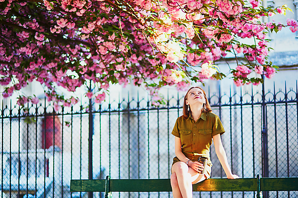 포토 JPG 해외이미지 주간 외국인 나무 백인 공원 여자 벤치 가방 한명 들기 앉기 상반신 성인 야외 앞모습 봄 올려보기 벚꽃 다리꼬기 테이크아웃컵 성인여자한명만 파리(프랑스) 해외포토 자연요소 서양인 식물 1 잡화 계절 공공시설 꽃 뷰포인트 의자 모션 사람 인종 컵 여자한명만 성인여자만 파일형식